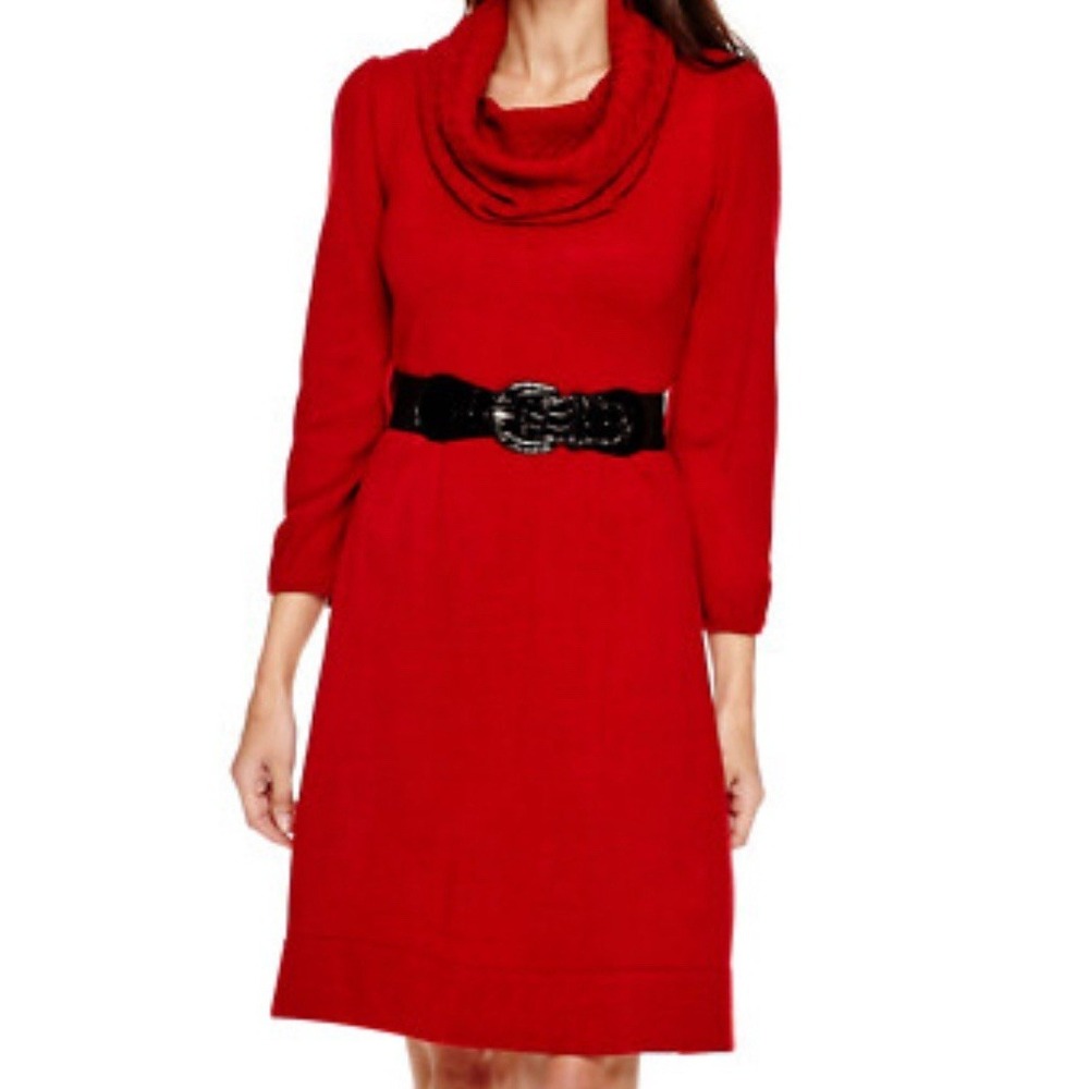 Alyx Sweater Dress With A Cowl Neck Line And 3/4 Sleeves WITHOUT BELT !! Sz S